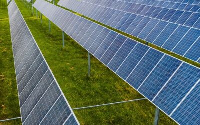 Sustainability : UK’s First Co-Owned Solar Park 